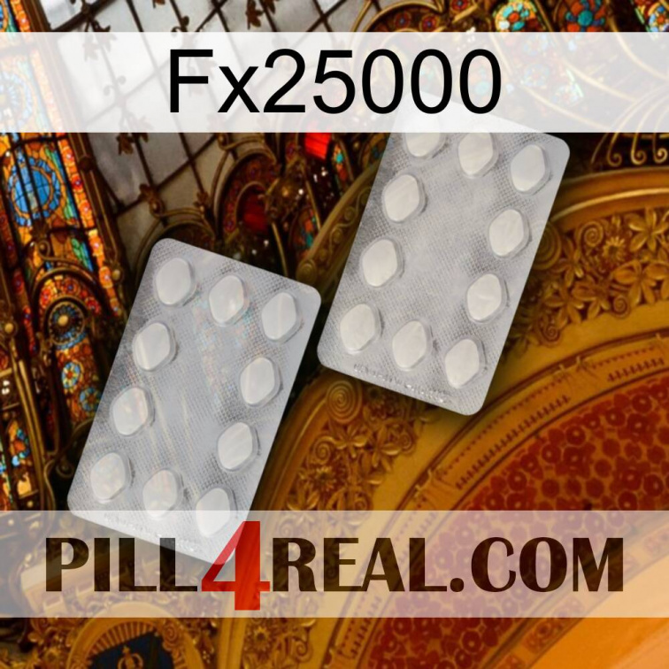 Fx25000 17
